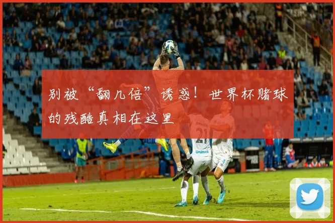 别被“翻几倍”诱惑！世界杯赌球的残酷真相在这里