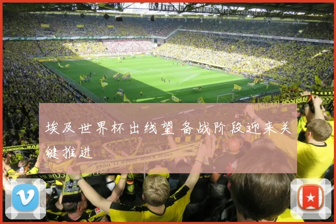 埃及世界杯出线望 备战阶段迎来关键推进