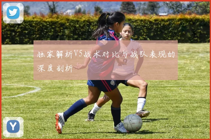 独家解析V5战术对比与战队表现的深度剖析