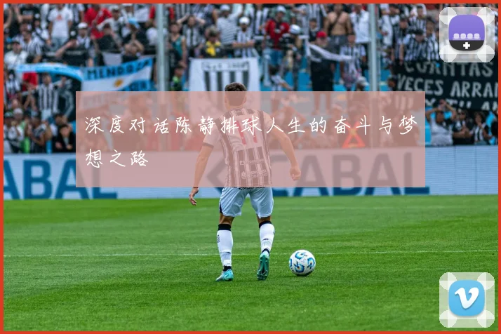 深度对话陈静排球人生的奋斗与梦想之路